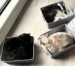 nap time