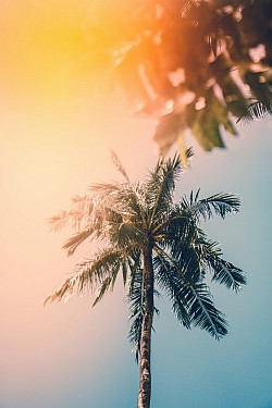 Summer time - check back for shows starting in september