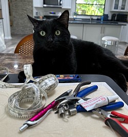 Flash helping mom with new designs